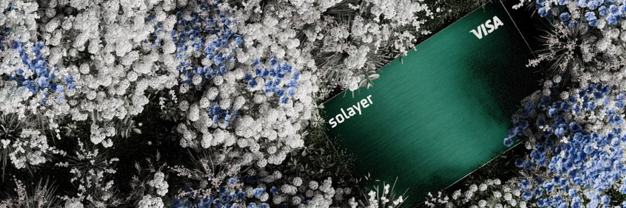 Preview of Solayer card