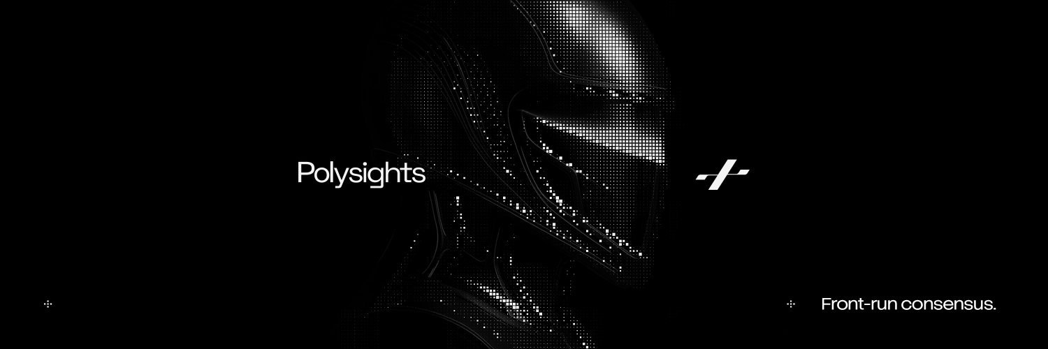 Preview of Polysights