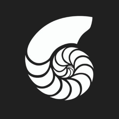 NautilusTrader logo